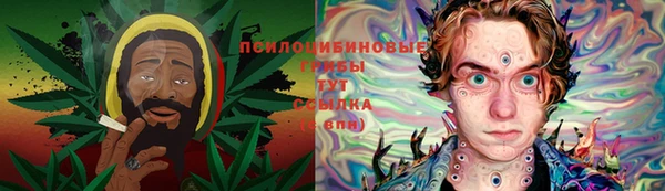 прущие крисы Белокуриха