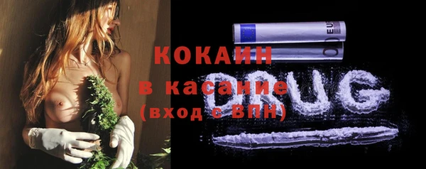 прущие крисы Белокуриха