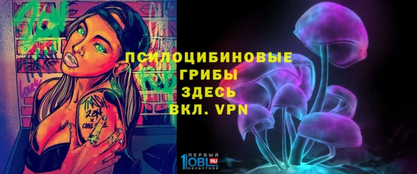 прущие крисы Белокуриха
