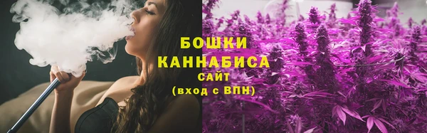 прущие крисы Белокуриха